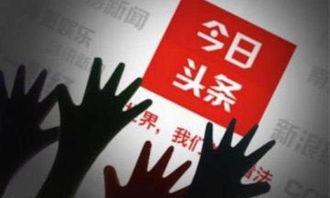 今日头条投资人爆料,揭秘投资背后的真相与内幕  第2张